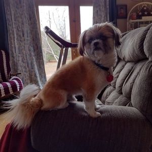 Meet your Posher, Audrey